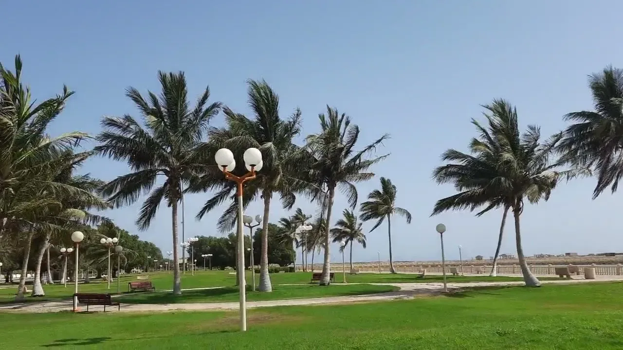 أفضل 5 حدائق ومنتزهات في ينبع - صورة 2