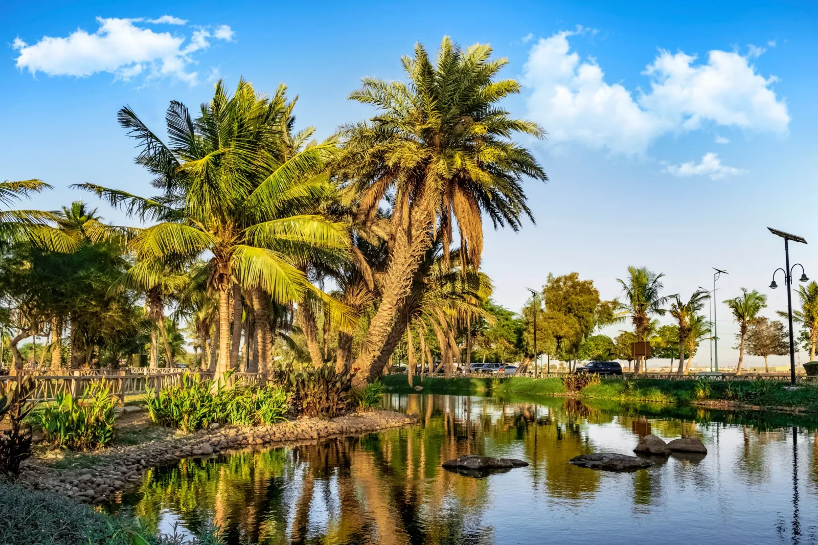 أفضل 5 حدائق ومنتزهات في ينبع - صورة 5
