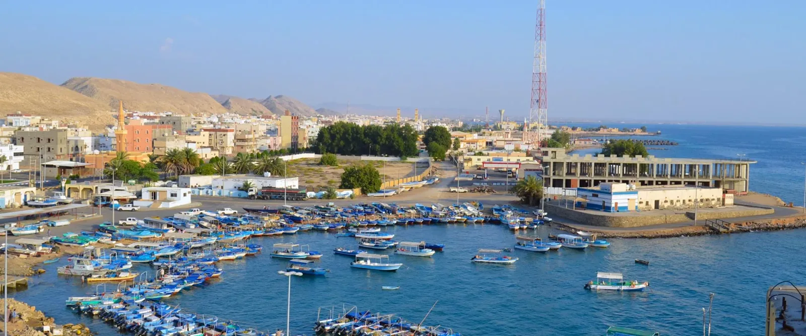 أفضل 5 حدائق ومنتزهات في ينبع