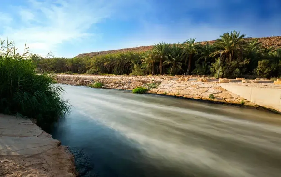 أهم الفعاليات التي يمكن القيام بها في منتزه البحيرات في الرياض