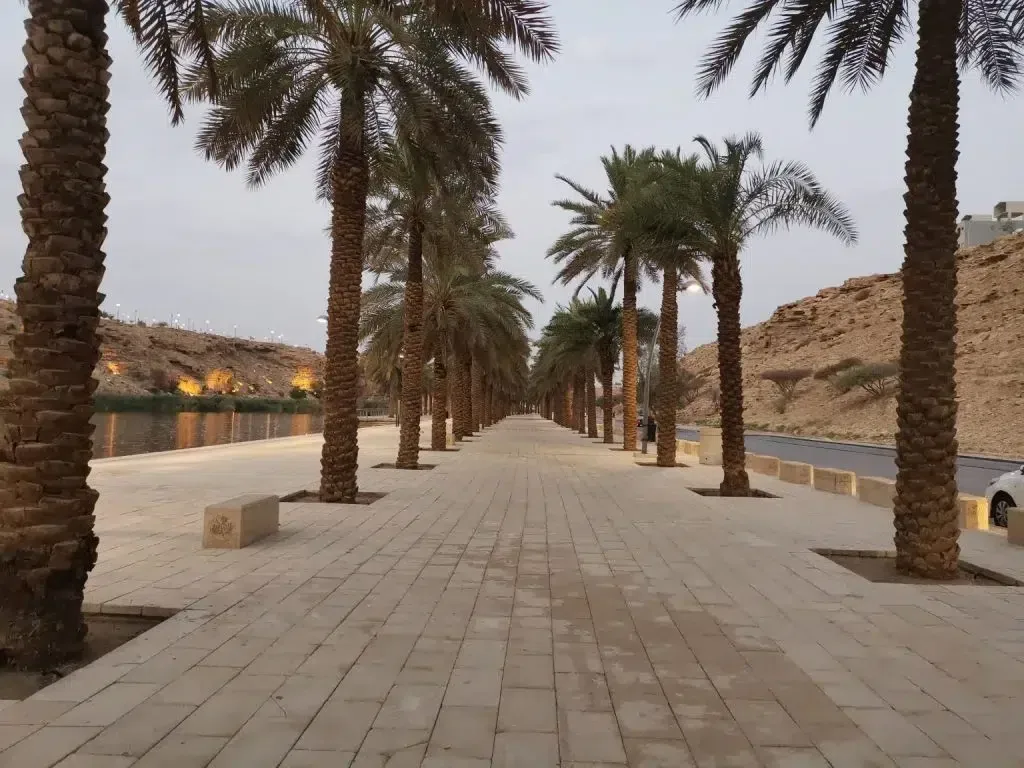 أفضل 5 أنشطة في وادي نمار الرياض
