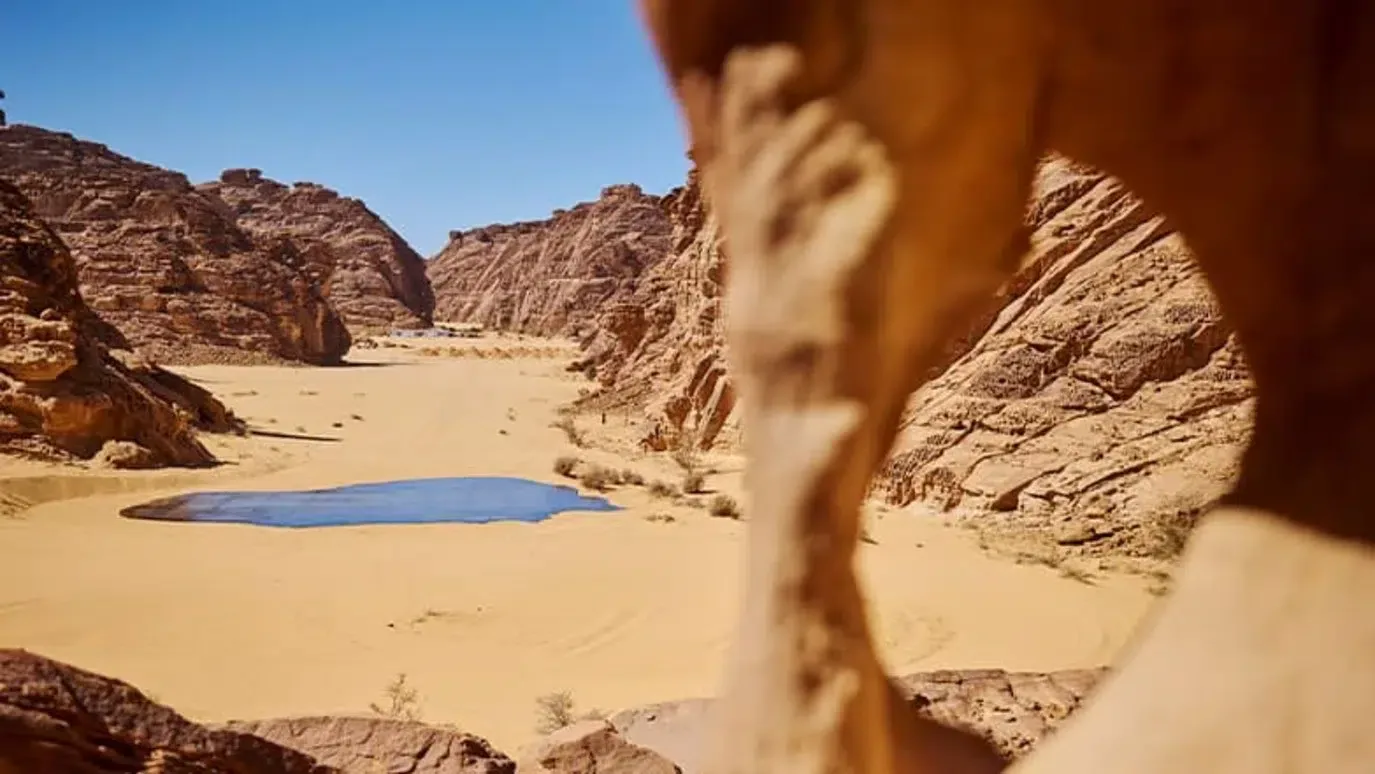 انطلاق النسخة الثالثة من معرض صحراء X العلا 2024