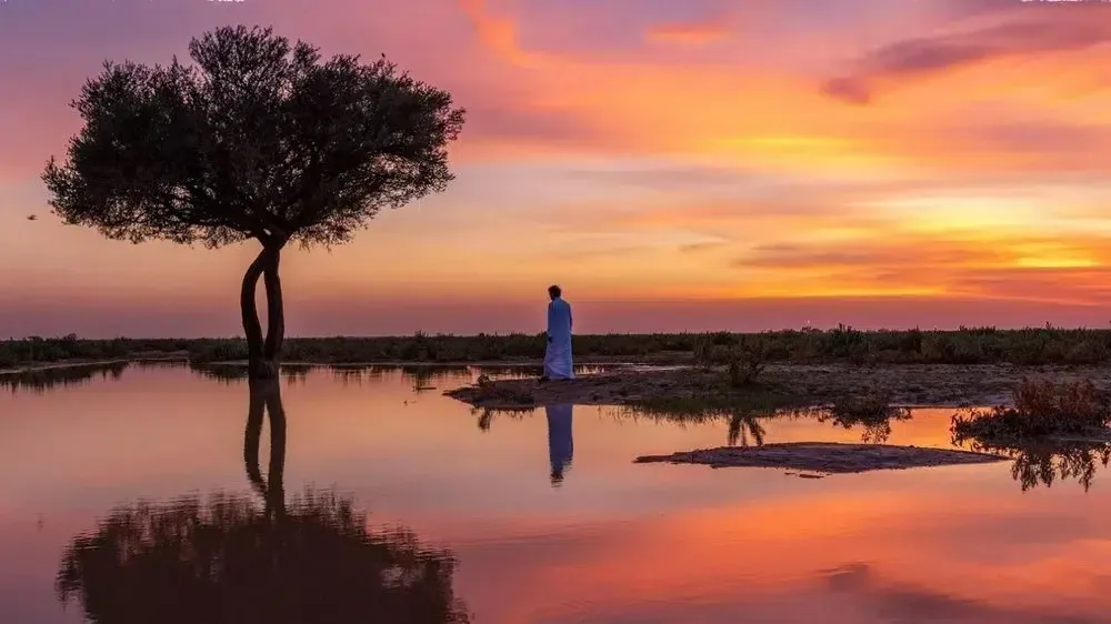 5 وجهات ساحرة لعشاق التخييم في السعودية