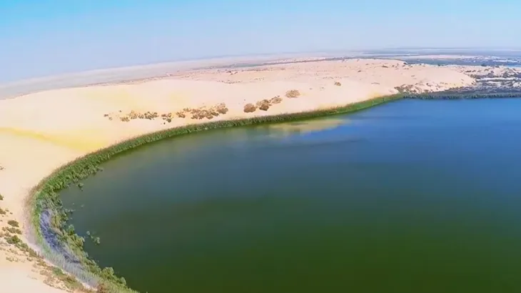 بحيرة الأصفر... حياة وسط الصحراء السعودية