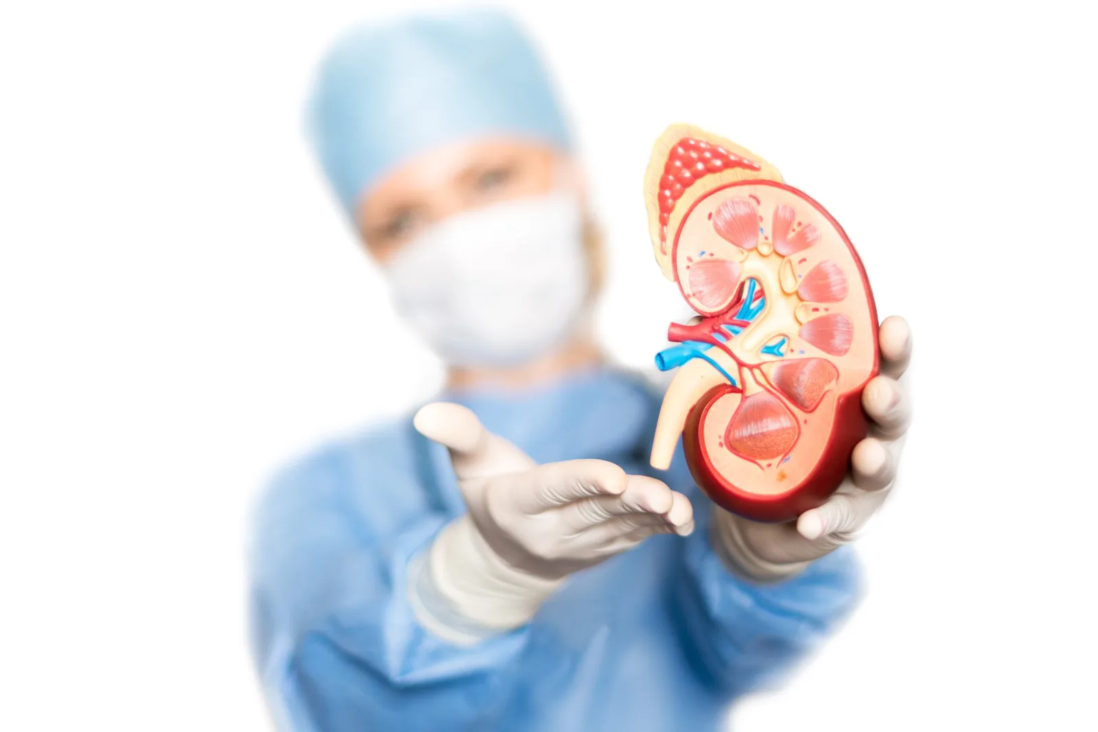 أفضل 5 أخصائيين كلى في جدة - صورة 4