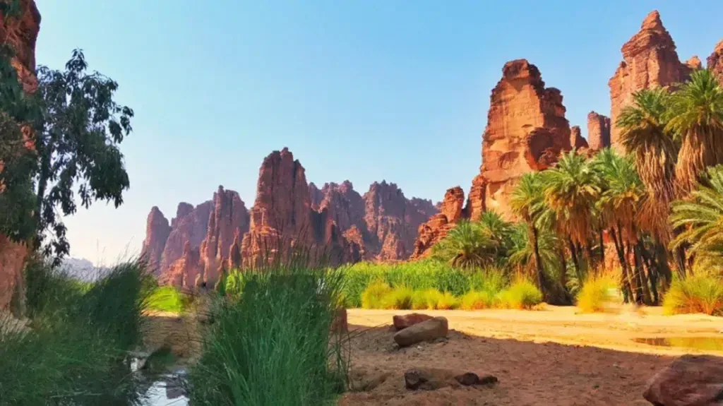 4 أماكن جميلة في السعودية لمشاهدة غروب الشمس