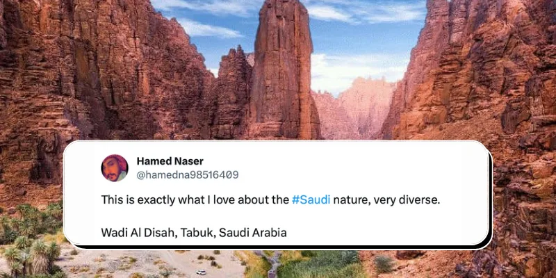 أعرف ماذا يقول العالم عن المملكة العربية السعودية - صورة 2
