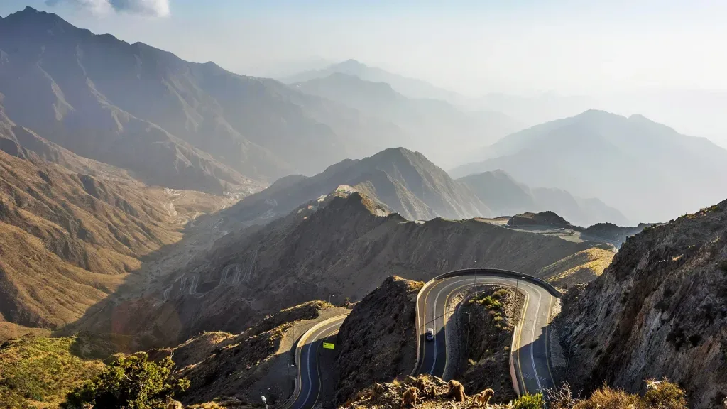 استكشاف جمال وتنوع منتزه عسير الوطني في أبها