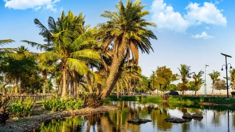 أفضل 8 بحيرات في السعودية 2024
