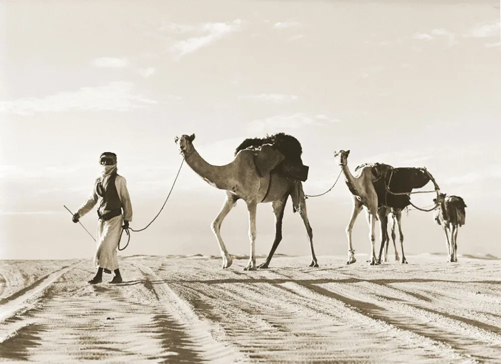 أكبر قبائل السعودية