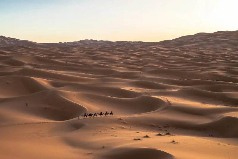 7 أسباب تدفعك لزيارة المملكة العربية السعودية
