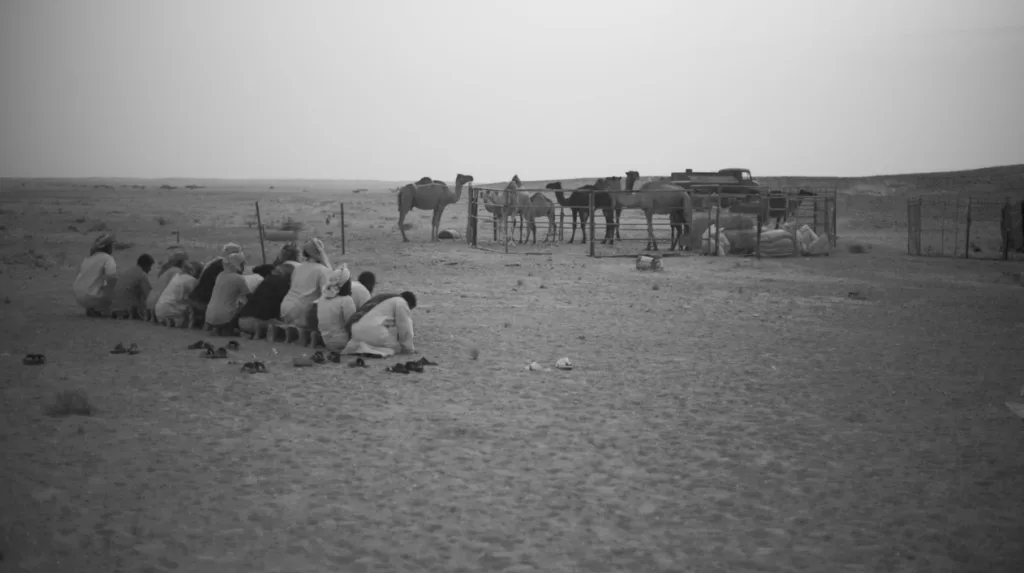 ترتيب القبائل في السعودية من حيث العدد