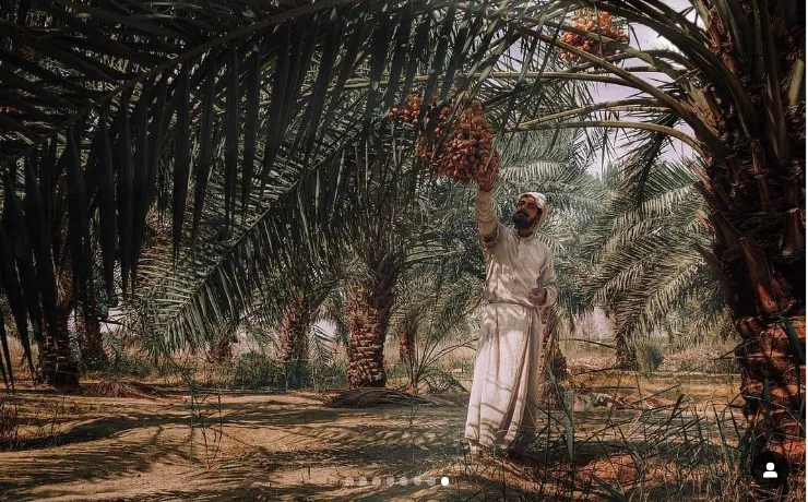 8 مواقع سعودية على قائمة اليونيسكو للتراث العالمي