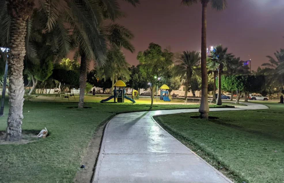 دليل شامل لزيارة حديقة النخيل في الرياض 2024