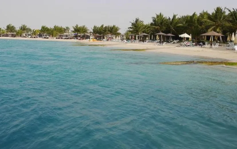 اكتشف سحر شاطئ سيلفر ساندس: جنة طبيعية في جدة