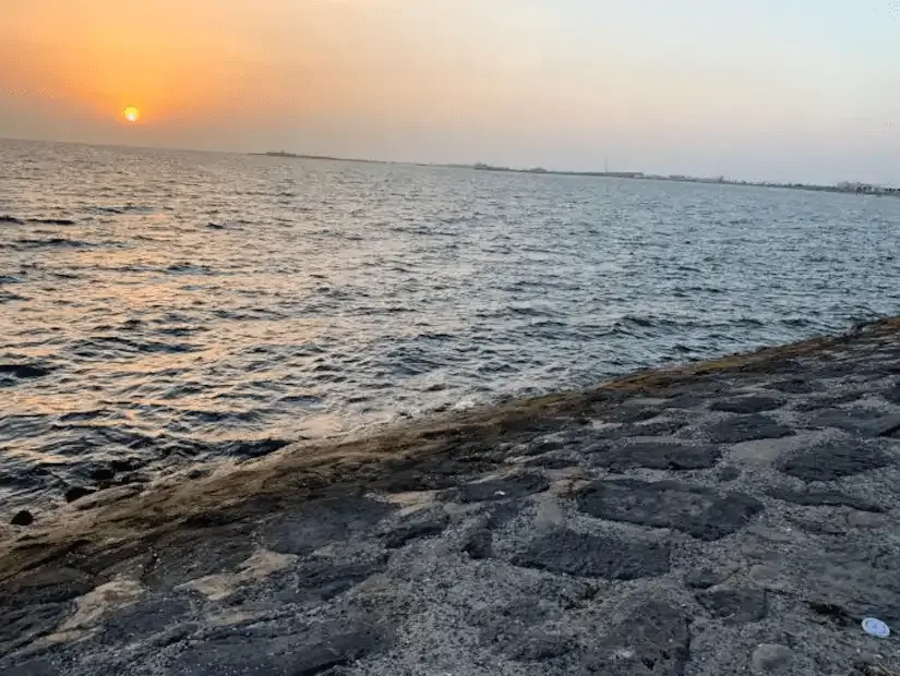 أجمل الوجهات الساحلية: استكشف أفضل شواطئ جازان