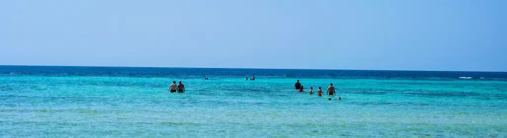 أفضل الشواطئ في المملكة العربية السعودية