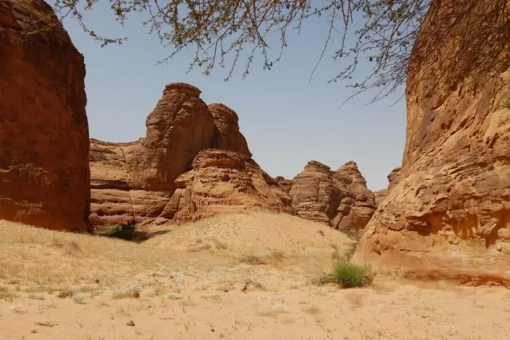 5 أنشطة غير اعتيادية في العلا في السعودية