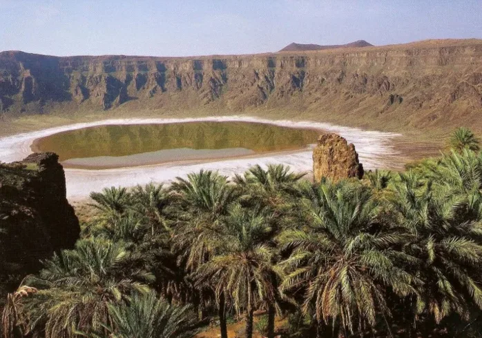 6 أشياء فريدة يمكنك القيام بها في الطائف