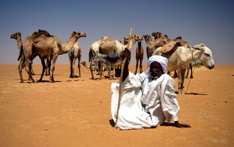أكبر قبيلة في السعودية