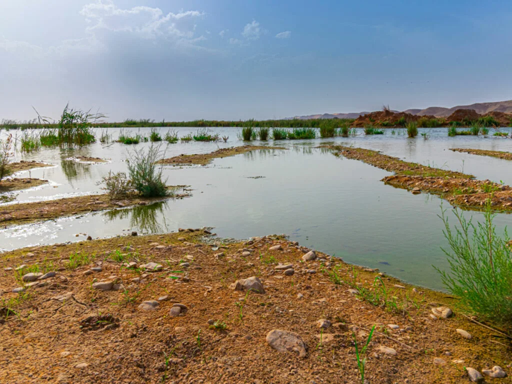 أفضل الأنشطة المجانية في الرياض للاستمتاع بعطلتك