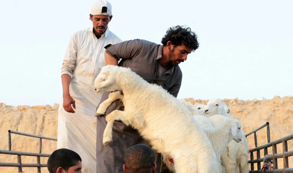 عيد الأضحى 2026 في السعودية: دليلك للفعاليات والوجهات السياحية