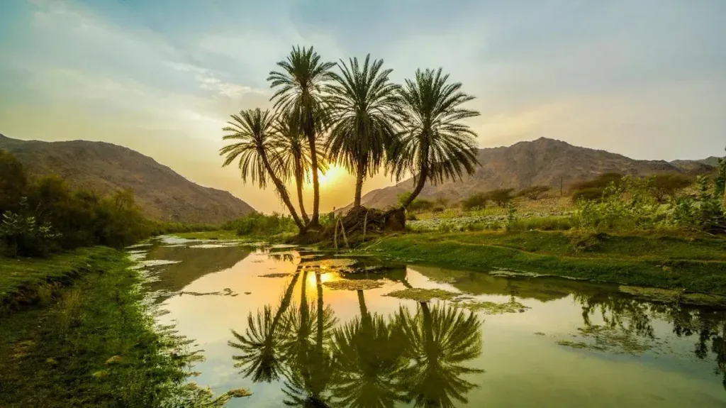 دليلك لأجمل الأودية الطبيعية في الرياض