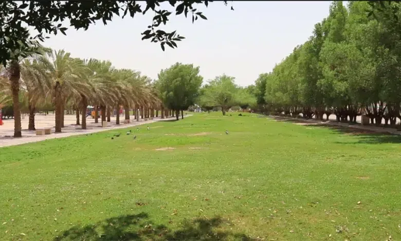 اكتشف جمال حدائق الرياض على مدار الساعة