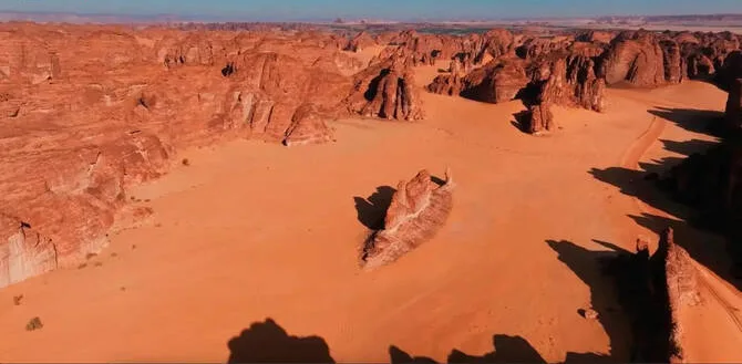 سمكة الصحراء… تحفة فنية تعكس تاريخ العُلا