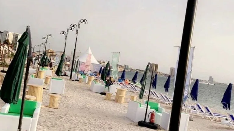 أفضل المنتزهات المجانية في جدة للاستمتاع بالطبيعة