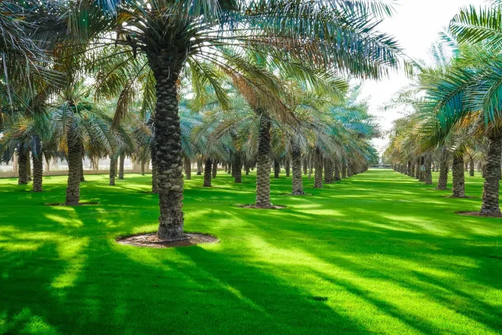 أفضل الأماكن في الرياض 2025