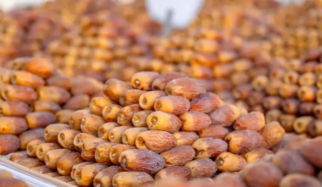 أفضل أسواق المدينة المنورة 2025