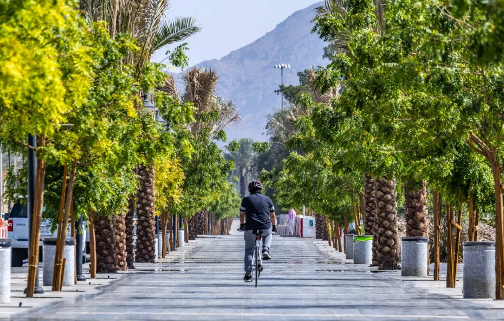 أماكن سياحية رخيصة في الطائف