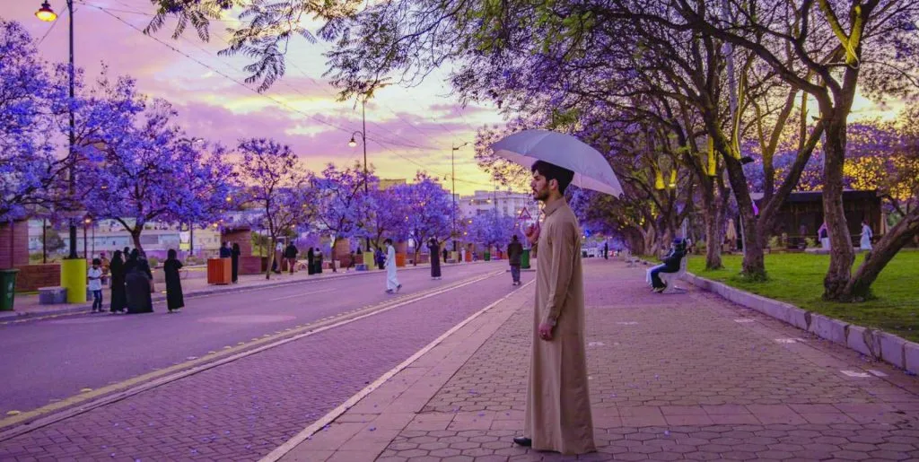 أبرز المناطق السياحية في منطقة العسير