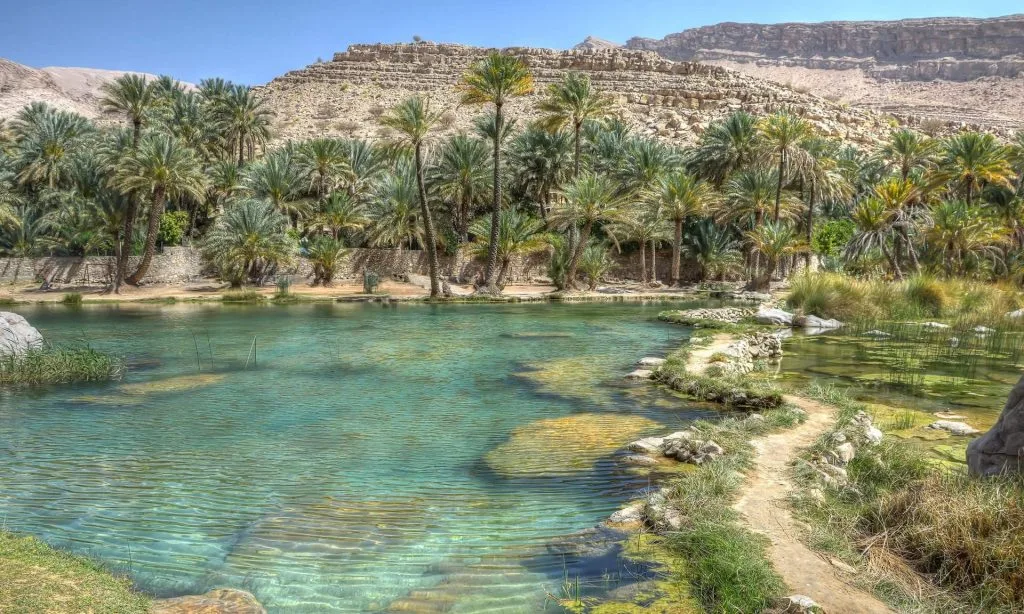 أبرز 5 واحات طبيعية في المملكة للراحة والاستجمام