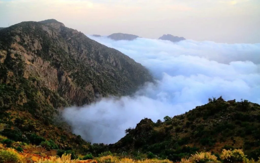 مناظر طبيعية في السعودية