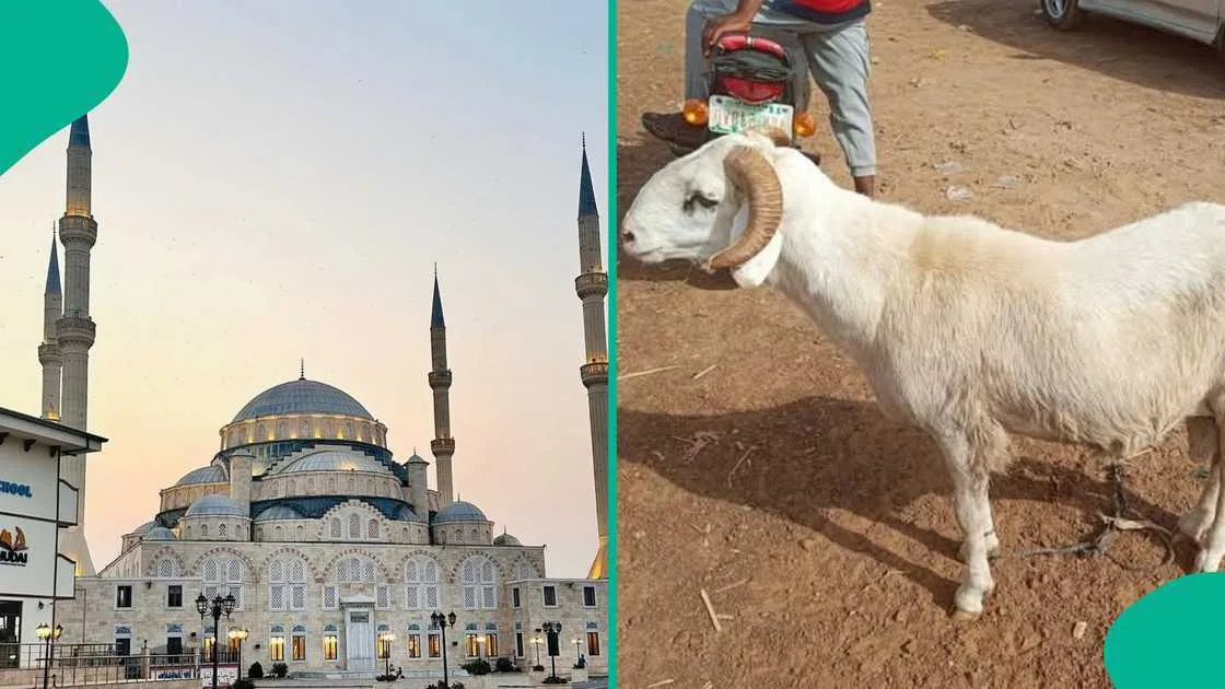 عيد الأضحى 2026 في السعودية: عادات وتقاليد الإجازة الكبرى