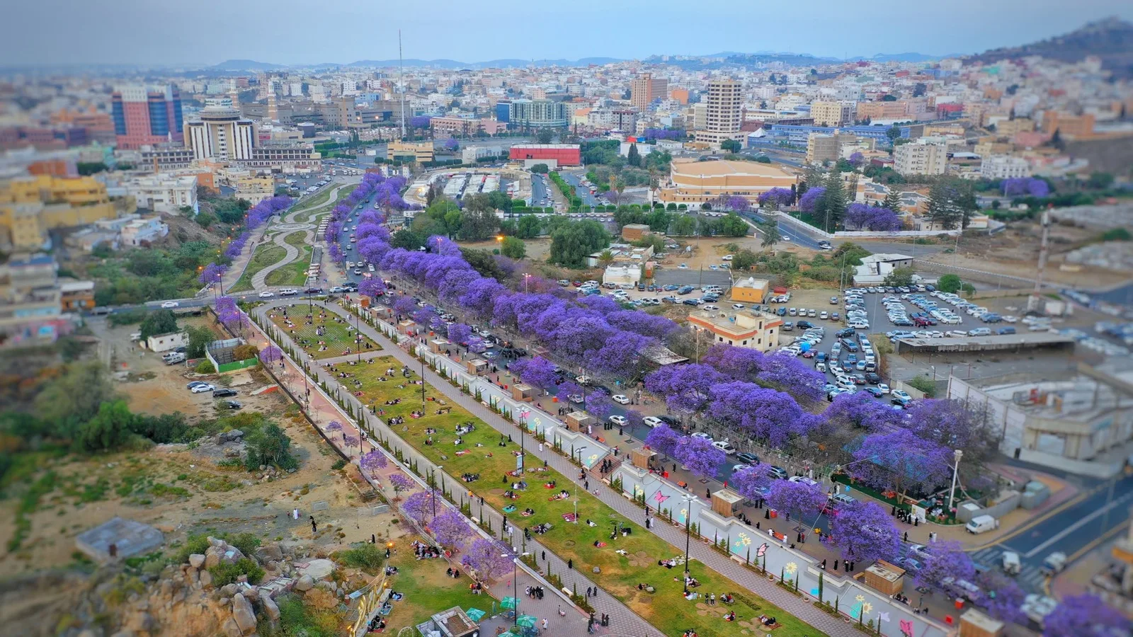 الاماكن السياحية في أبها
