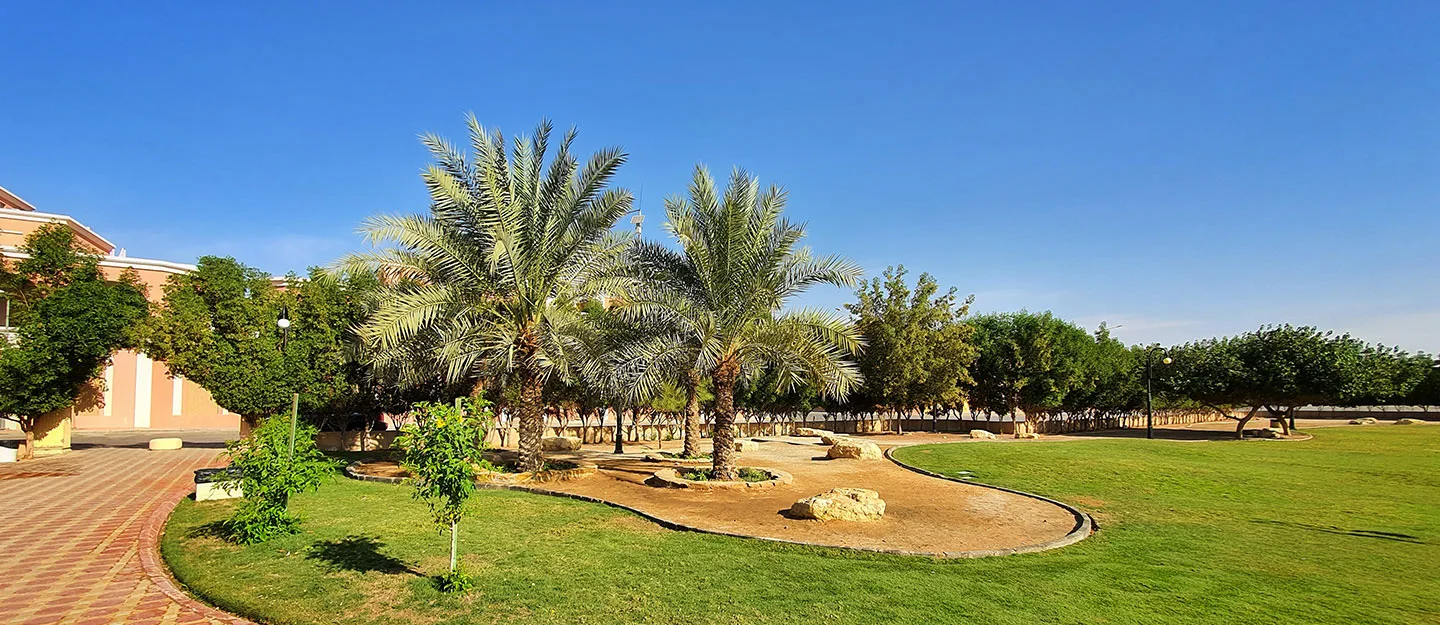 أفضل 5 حدائق ومتنزهات في الرياض