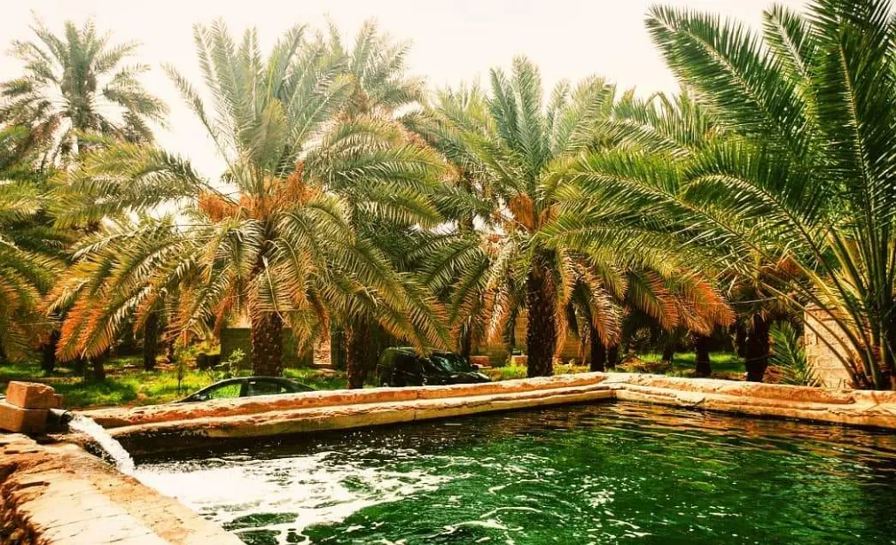 5 معالم سياحية في المدينة المنورة لا ينبغي أن تفوتها - صورة 3