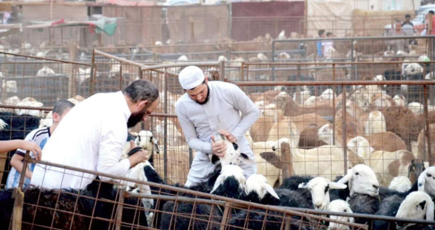 عيد الأضحى 1447هـ في السعودية: دليل الفعاليات والوجهات السياحية 2026